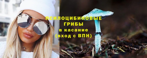 дживик Алексин