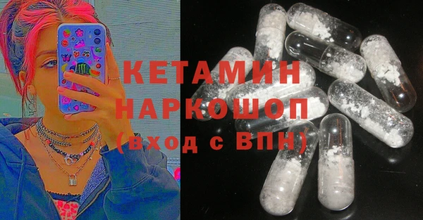 гидра Михайловка