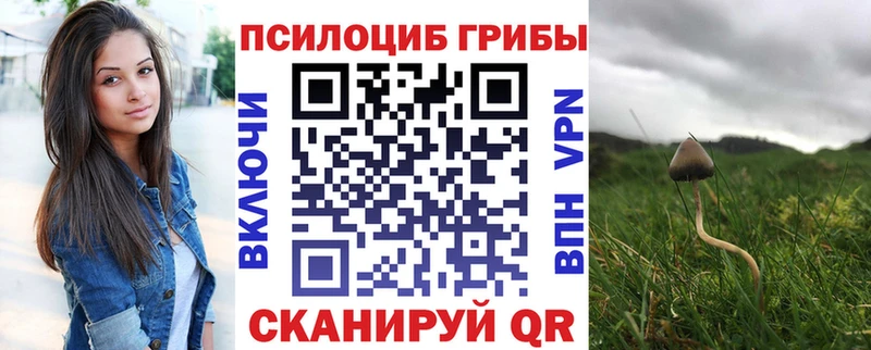 наркота  Павловская  Псилоцибиновые грибы Psilocybine cubensis 